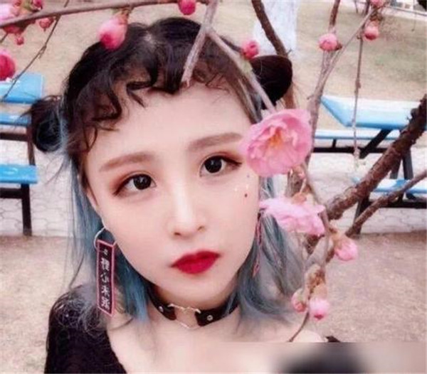 ��θ��è����Ϊʲô��ô�ܳ�������� è���ø�С���������ɶ��