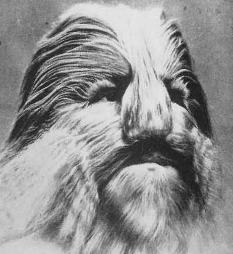 ������ʮ�������էһ���ÿ� ����ʵû��һ��������Ľ�Ļ��ֲܿ�