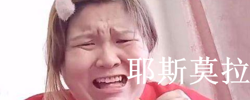 ����ʦҮ˹Ī����ʲô��˼