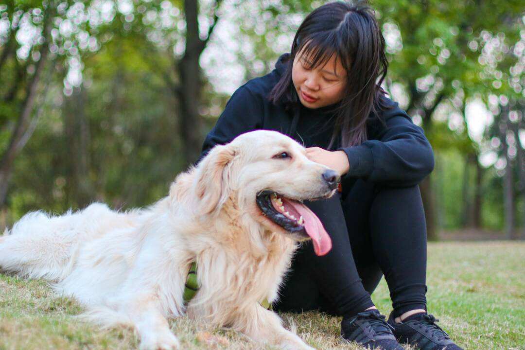 揭秘女人养狗的真正的原因 养狗的女人不能娶是真的吗