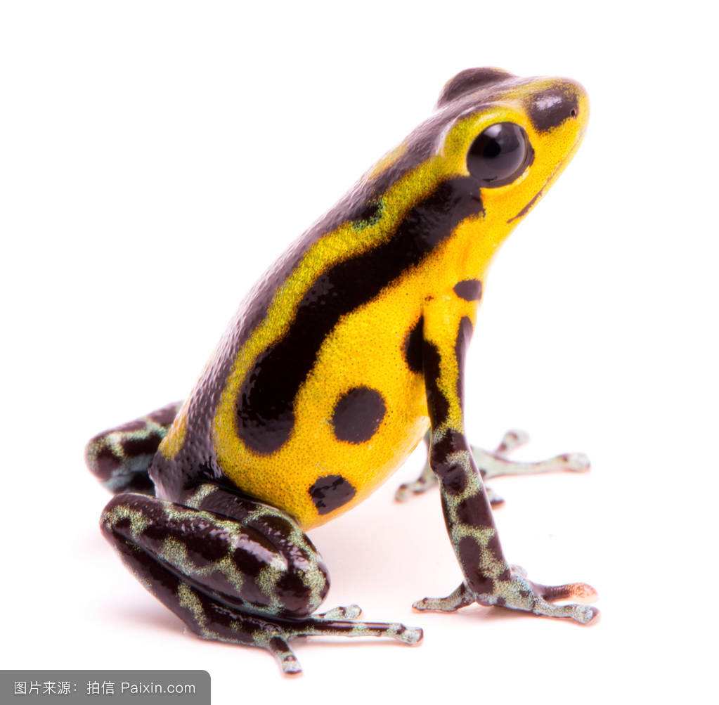 �����綾�Ļƽ���������Զ�� ��������������ͱ��޶���զ����