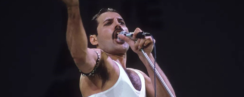 �ʺ��ֶӵ�������ʲô