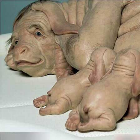 ������ʵͼƬ������˹��ھ��ɹ��� ���ݷ���һ����������զ����