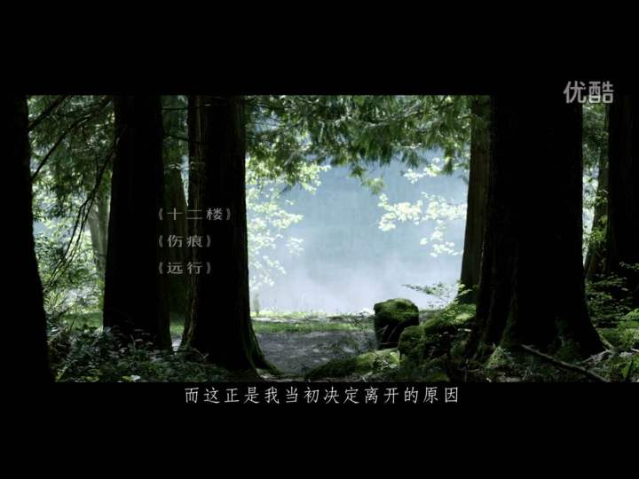 ��������ԭ������ʢ��Ϊʲô �����С11������̸ֻ���������