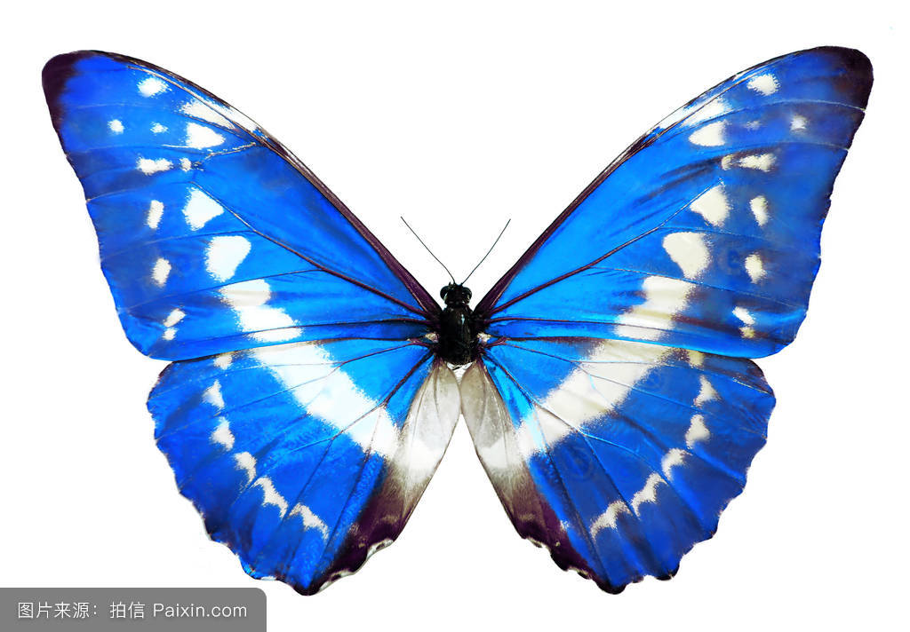 ȫ���������ĺ�������Ů���ͼƬ��ȫ ��״��ʣ��ֻ����Ǯ����