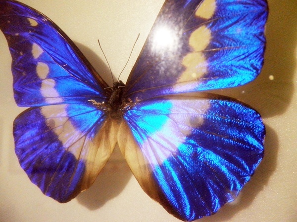 ȫ���������ĺ�������Ů���ͼƬ��ȫ ��״��ʣ��ֻ����Ǯ����