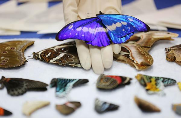 ȫ���������ĺ�������Ů���ͼƬ��ȫ ��״��ʣ��ֻ����Ǯ����