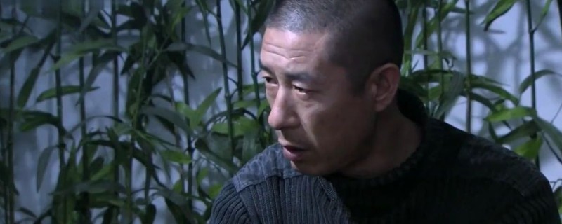 ������Ҷ������ʲô���Ӿ�