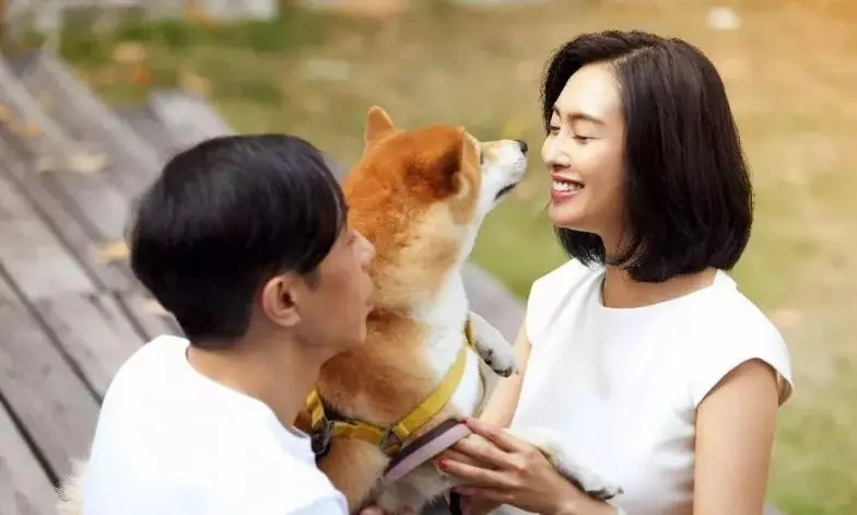 朱茵黄贯中无性婚姻是什么意思