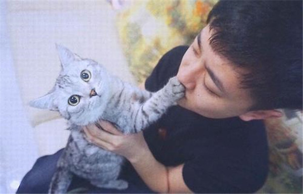 �߻���Ǹ�ʲô�ĸ������� ���ֺ��˸߻��ļ�ͥ����Ǹ�������