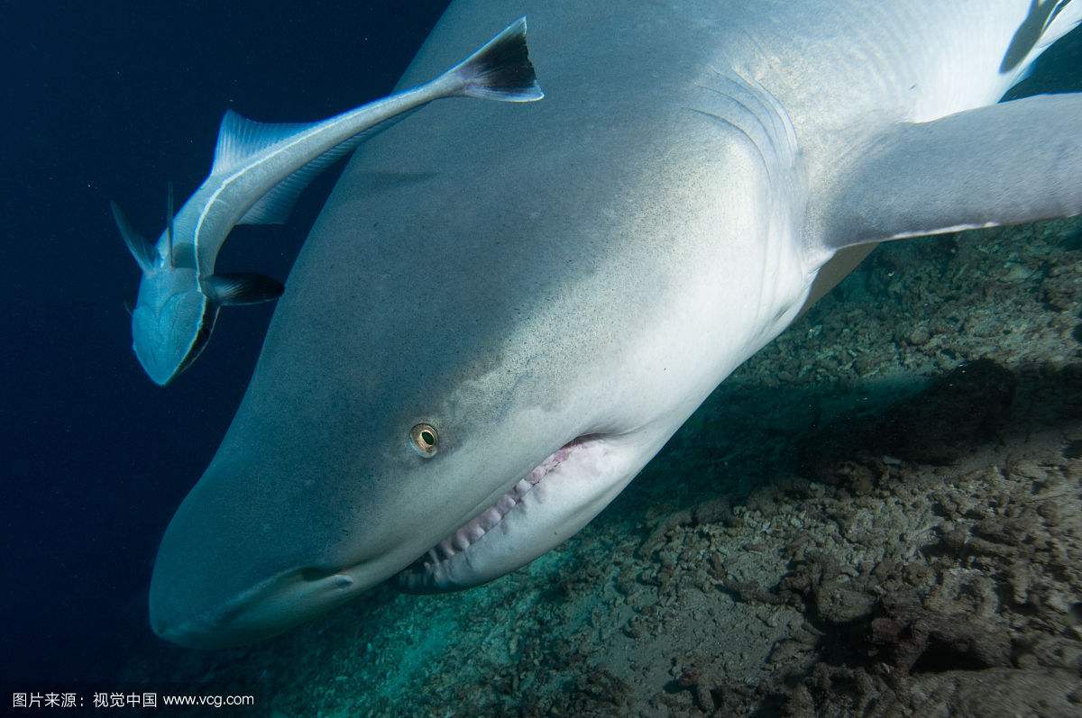 ���󡰼����桱ӡ�������ÿ����� ���������̵������ܵ�����