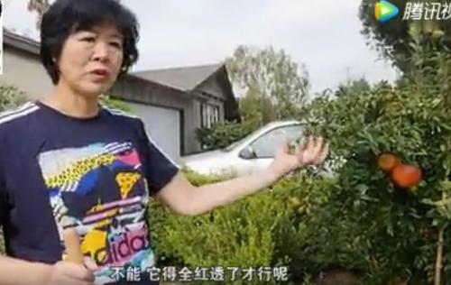 郎平退休金是多少一年年薪工资是多少 女排郎平美国天价豪宅曝光