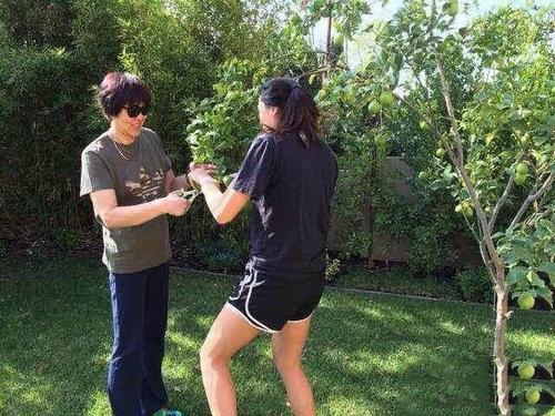 郎平退休金是多少一年年薪工资是多少 女排郎平美国天价豪宅曝光