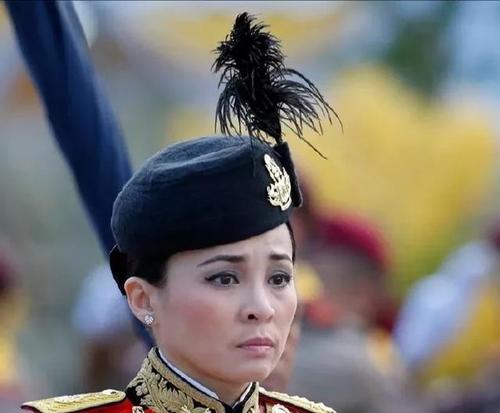 ̩���»ʺ��й���ʷ��������к����� �����Ϊʲô�޺���û����