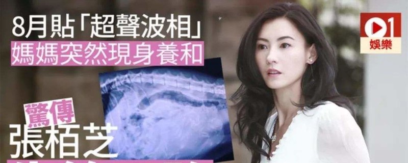 �Ű�֥�����Ϲ���˭