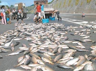 ĩ��Ԥ�׿ֲ��Ŀ��н���ʵͼ ��ֵ�����������н���ԭ��