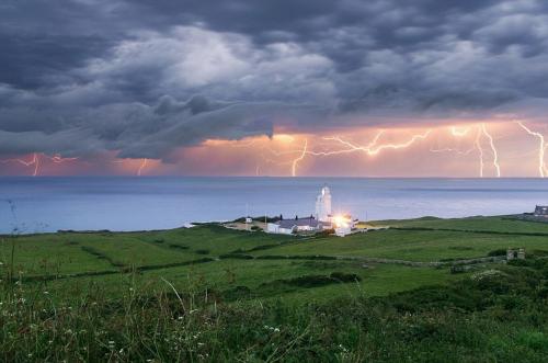 ĩ��Ԥ�׿ֲ��Ŀ��н���ʵͼ ��ֵ�����������н���ԭ��