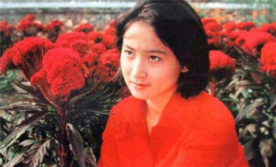 ����������Ƭ���նԱ� ���򱻴����������λ��̫��Ĳ�������