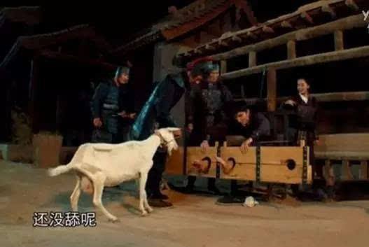 �����������ɵ�Ц����ô������ ���˹̶���Ц���̾�ͼ��ĥ�˶�ͼ