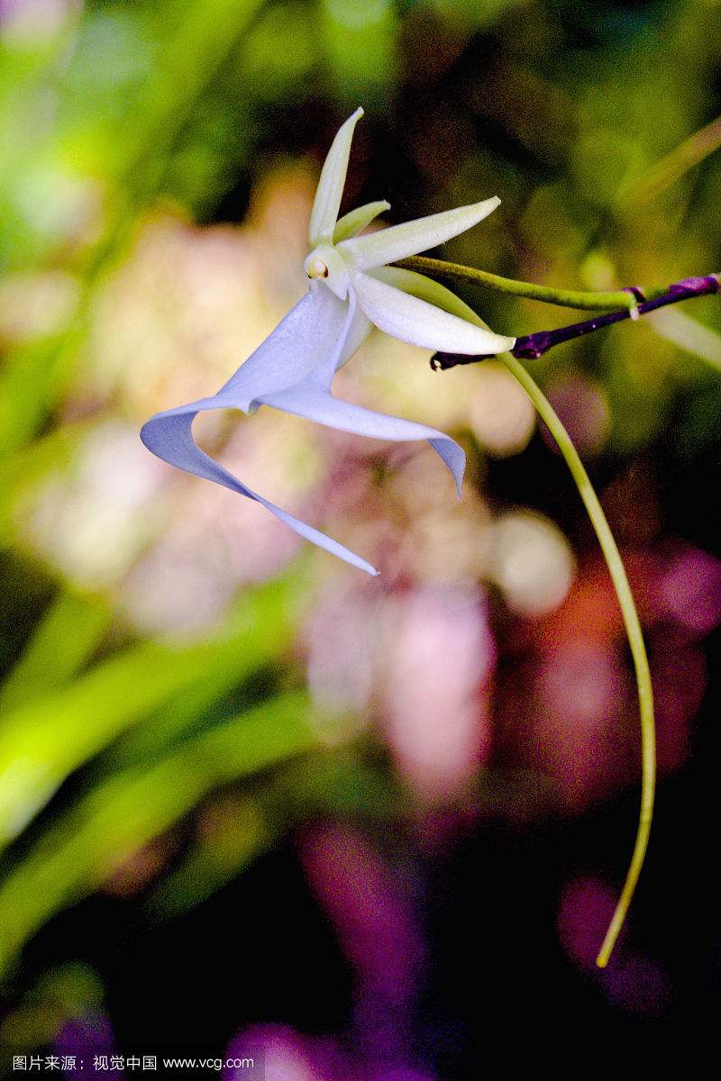 ��������������--������ôԽ��Խ��� ��Ҫ�����������ޱȾ���