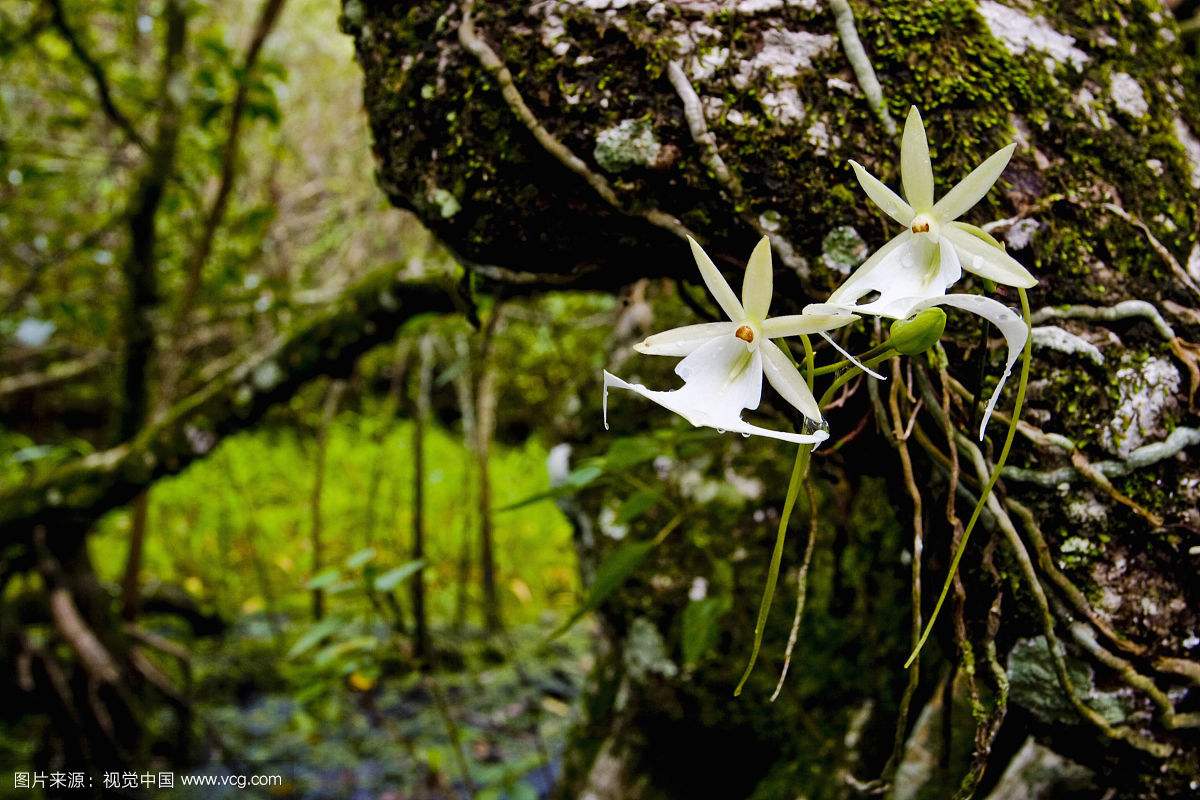 ��������������--������ôԽ��Խ��� ��Ҫ�����������ޱȾ���