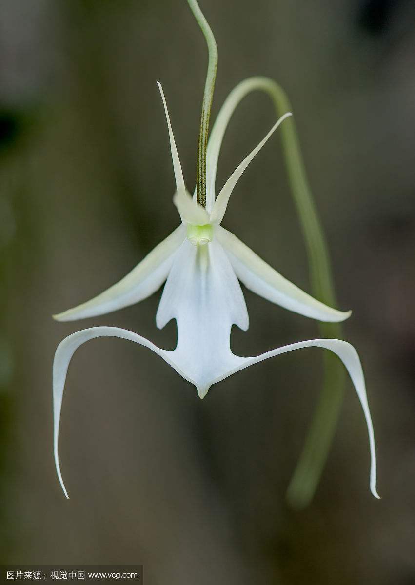 ��������������--������ôԽ��Խ��� ��Ҫ�����������ޱȾ���