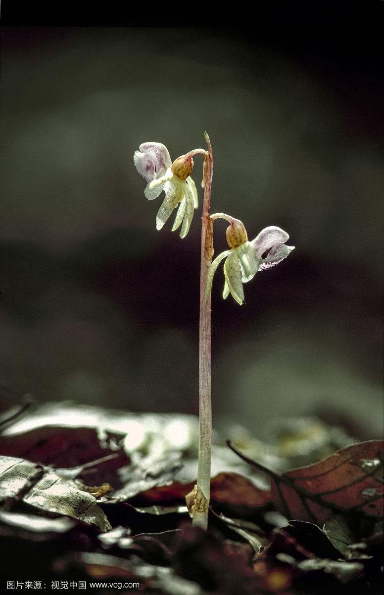 ��������������--������ôԽ��Խ��� ��Ҫ�����������ޱȾ���