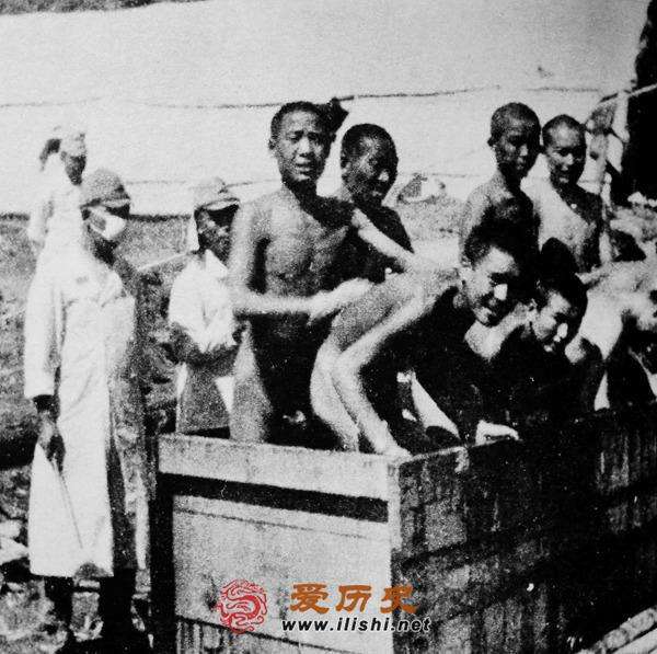 731����Ů��·��÷����ʵ����Ƶ �ձ���������Ů��·����ʵ��Ƭ