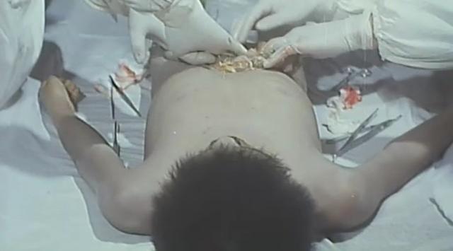 731����Ů��·��÷����ʵ����Ƶ �ձ���������Ů��·����ʵ��Ƭ