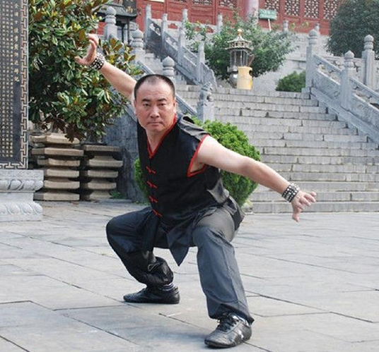 据悉陈同山家坐拥两大武术学校共330亩地,据天眼查,陈同山名下共有9家