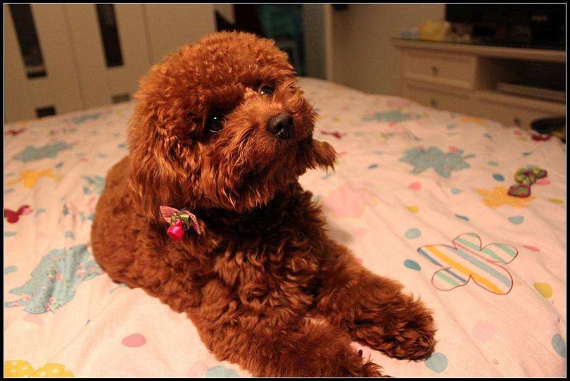 Ϊʲô˵Ů��������̩������ҪС�� Ů������̩���ǹ�����ĸ�ĺ�