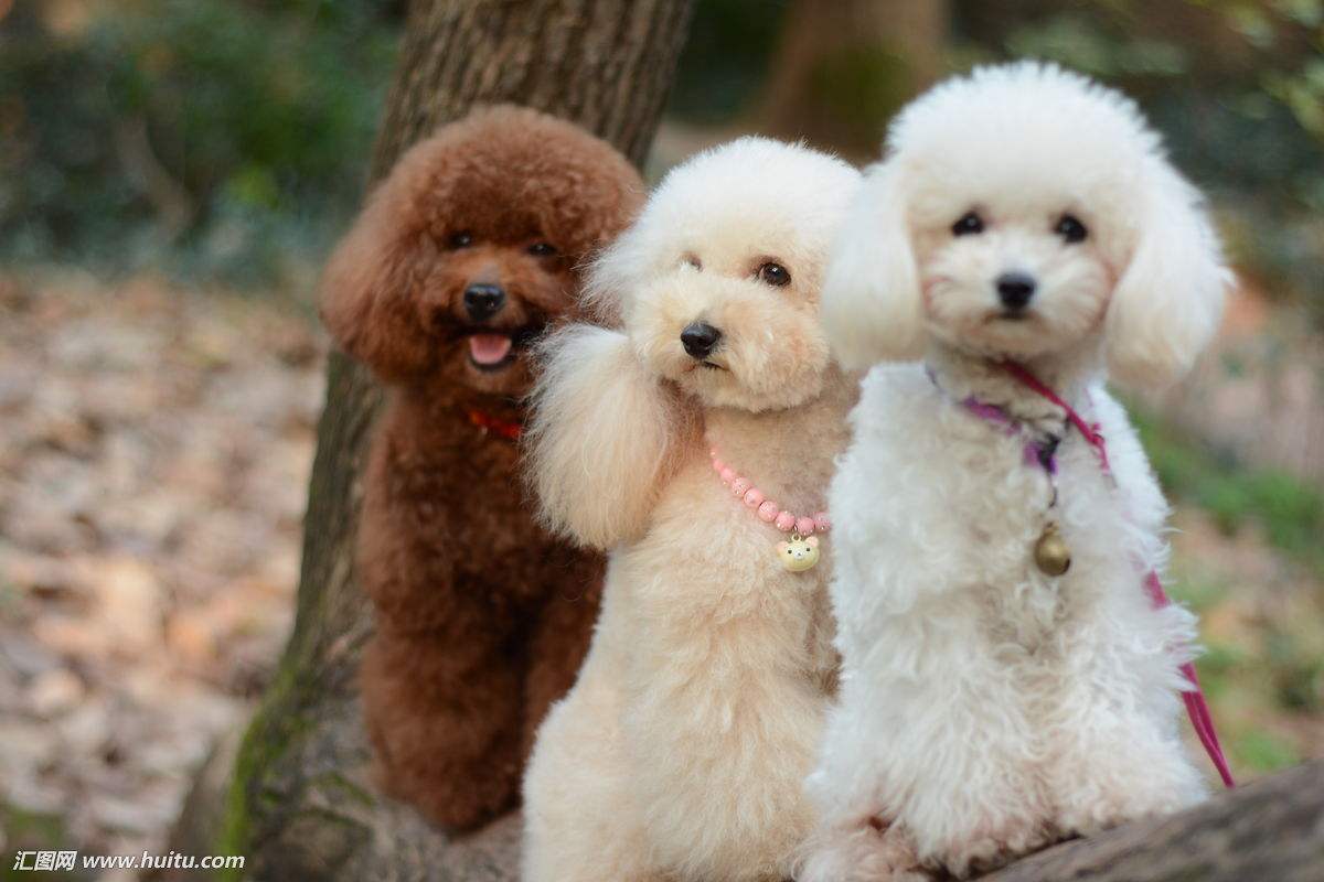 Ϊʲô˵Ů��������̩������ҪС�� Ů������̩���ǹ�����ĸ�ĺ�