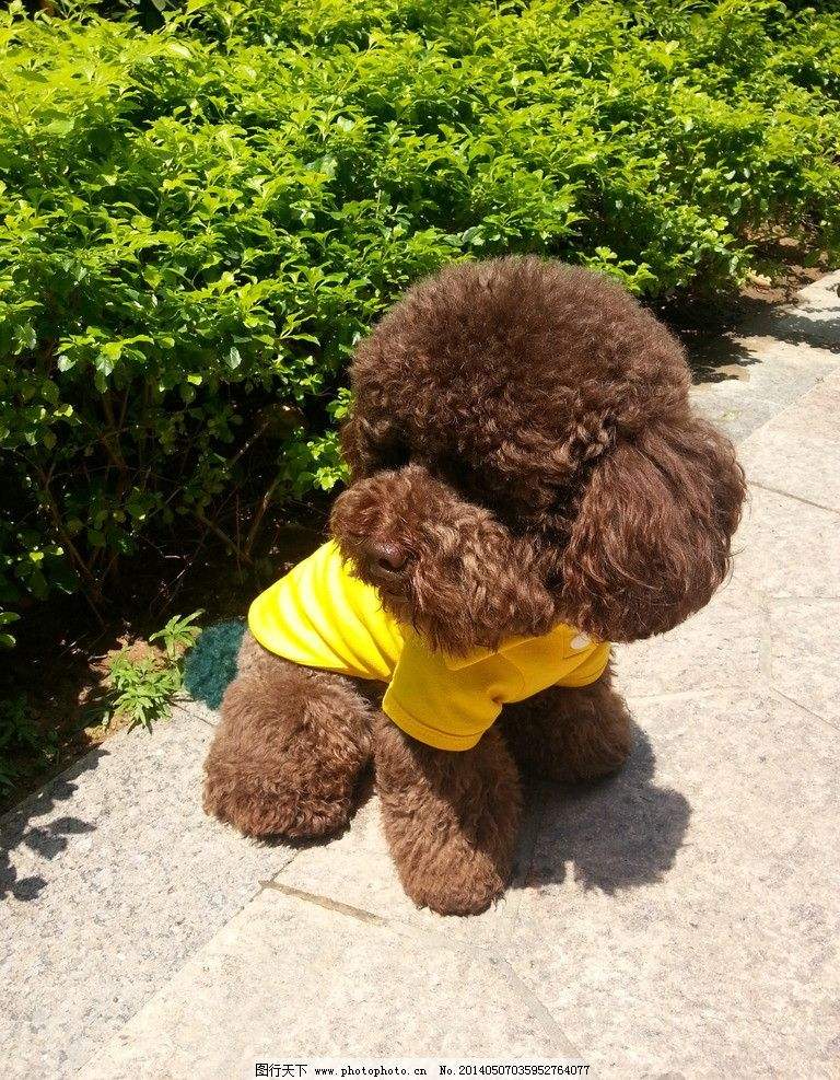 Ϊʲô˵Ů��������̩������ҪС�� Ů������̩���ǹ�����ĸ�ĺ�