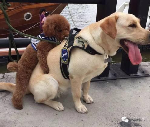 Ϊʲô˵Ů��������̩������ҪС�� Ů������̩���ǹ�����ĸ�ĺ�