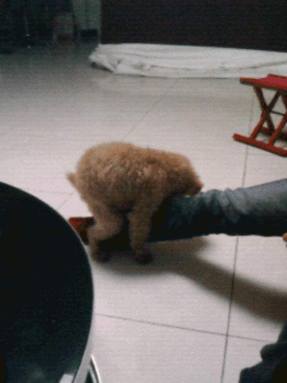 Ϊʲô˵Ů��������̩������ҪС�� Ů������̩���ǹ�����ĸ�ĺ�