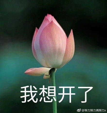 Ϊʲô�������˰��������������ܽ� ����������ʵ����װ�Ļ�����