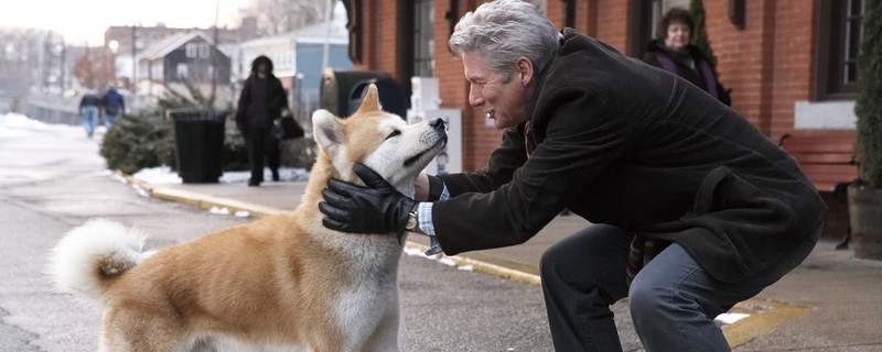 ��Ȯ�˹���ʲô��