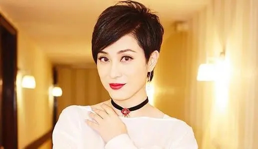 陈法蓉为什么至今单身一直不结婚 杨俊毅陈法蓉分手内幕