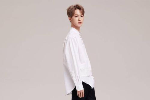 �ֻ�Ϊʲô����������͢���� ����͢�����Ż������������Ϊʲô