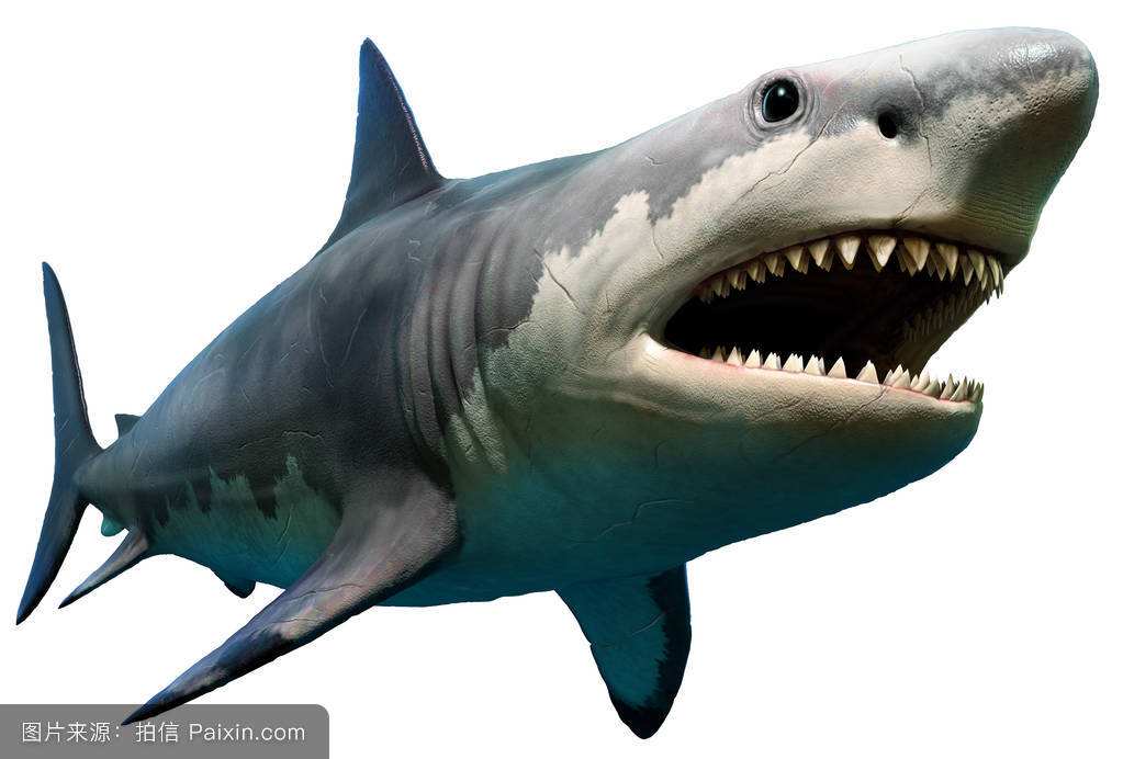 ʷǰ��һ���¾���÷��ά������ɱ�޳���ͼƬ ÷��ά���������ɶ