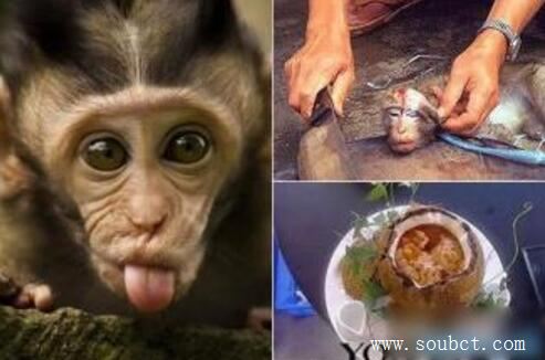 �й�ʮ����� ���ú�ͷ����ֱ��