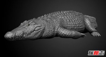 �������ĸ������������ ����ʮ���������