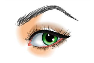 �۾�ģ������������ô���� �������۲��Ҳ�ע����Ϣ