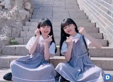 一一丫丫是学霸吗 学习不好性格内向的一对双胞胎