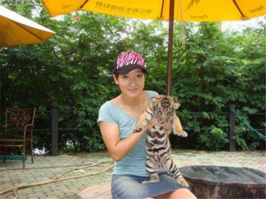 ��ʫ��������������˭ ����������������Ǽ�