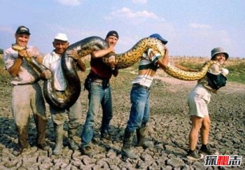 �����������100000�� ��������������