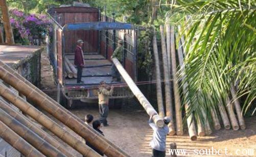 �������ж�� Ϊʲô����Ϊ��������Щ��ֵ