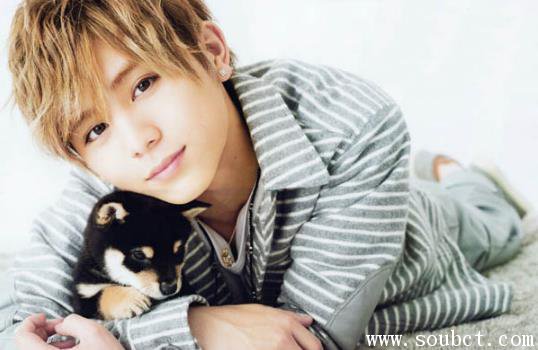 ɽ������������Ӳ�� �ձ���˧��������