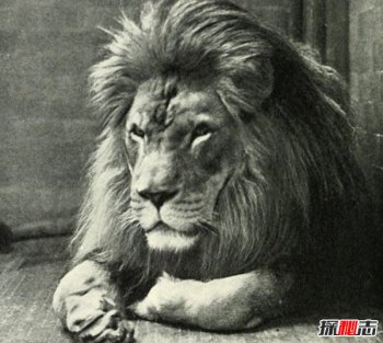 ����������10������Ķ��� �Ѿ������Ұ����������