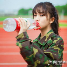 ��������ý�ʲô���� ����骵����ý���